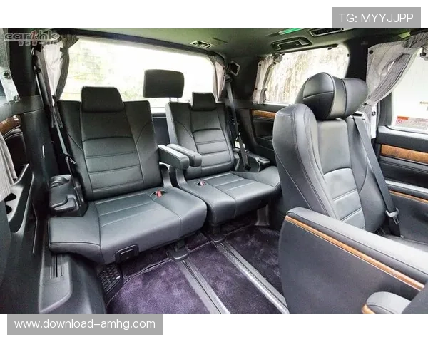 皇冠集团官网安全保障措施与个人信息保护政策详尽解读