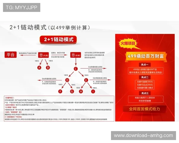 新2管理网官网技术支持与客户服务体系全面提升用户使用体验