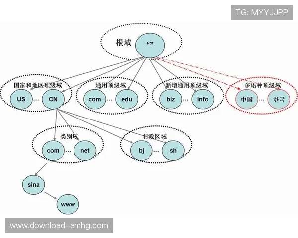 皇冠官方最新域名申请流程详解，指导用户顺利完成域名更换与注册操作